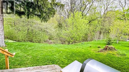 Expansive green lawn with mature trees and dense foliage - 19 Chateau Court, Hamilton, ON - Outdoor