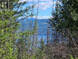 4402 Leopold Road Scotch Creek, BC V0E 1M5