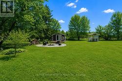 Backyard - 