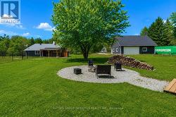 Backyard - 