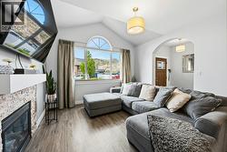 Living room with vaulted ceiling - 
