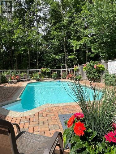 26 Paddy Dunn'S Circle, Springwater, ON - Outdoor With In Ground Pool
