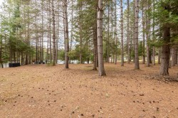 Lot - 
