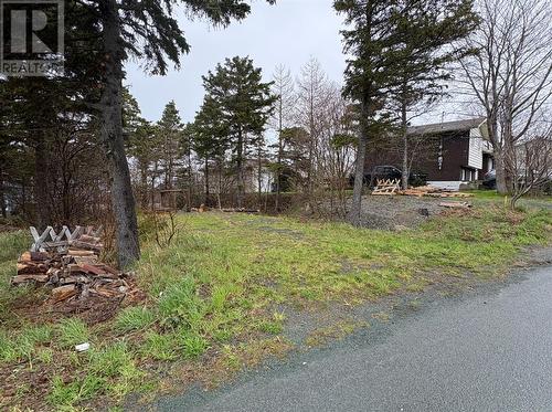 14 Browns Lane, Conception Bay South, NL 