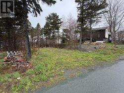 14 Browns Lane Conception Bay South, NL A1W 4C3