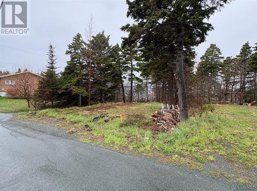 14 Browns Lane, Conception Bay South, NL 