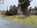 14 Browns Lane, Conception Bay South, NL 