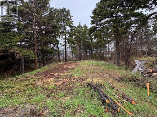 14 Browns Lane, Conception Bay South, NL 