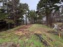 14 Browns Lane, Conception Bay South, NL 