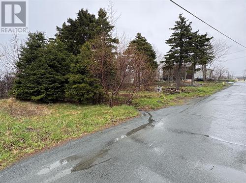 14 Browns Lane, Conception Bay South, NL 