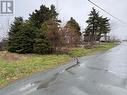 14 Browns Lane, Conception Bay South, NL 