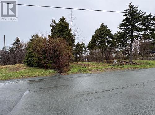 14 Browns Lane, Conception Bay South, NL 