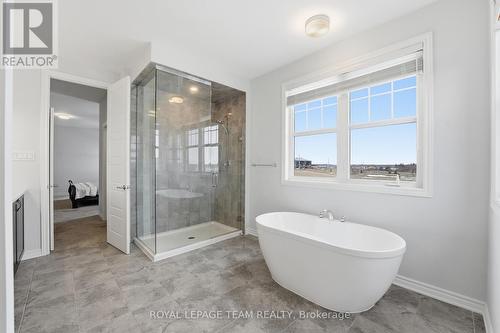 643 Rye Grass Way, Ottawa, ON - Indoor Photo Showing Bathroom