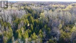 PT LT 21 HIGHWAY 6 Northern Bruce Peninsula, ON N0H 1Z0