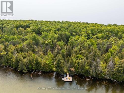 442811 Sideroad 12 Wgr Road, West Grey, ON - Outdoor With Body Of Water With View
