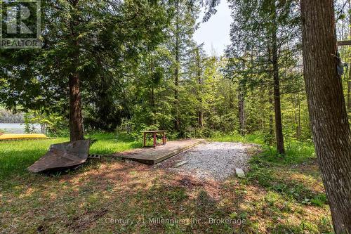 442811 Sideroad 12 Wgr Road, West Grey, ON - Outdoor