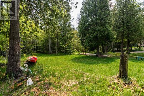 442811 Sideroad 12 Wgr Road, West Grey, ON - Outdoor