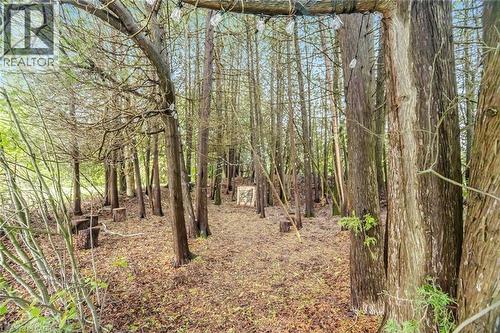 475248 County Rd 11, Amaranth, ON - Outdoor With View