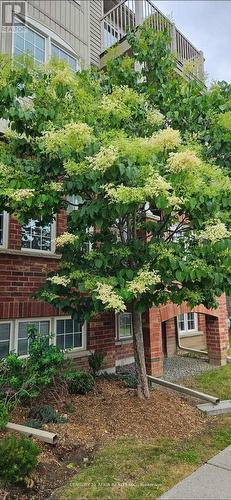 5 - 129 Isaac Devins Boulevard, Toronto, ON - Outdoor