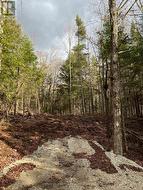 LOT 27 BUSHWOLF LAKE ROAD Dysart Et Al (Guilford), ON K0M 1S0