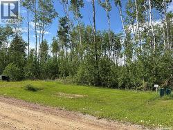 Lot 22, Lakeshore RV Properties Delaronde Lake, SK S0J 0E0
