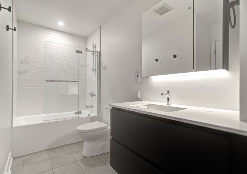 Salle de bains - 523-1150 Boul. René-Lévesque E., Montréal (Ville-Marie), QC - Indoor Photo Showing Bathroom