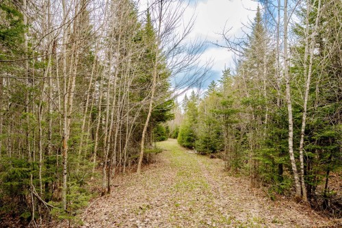 Extérieur - 2185 Route 210, Newport, QC - Outdoor With View