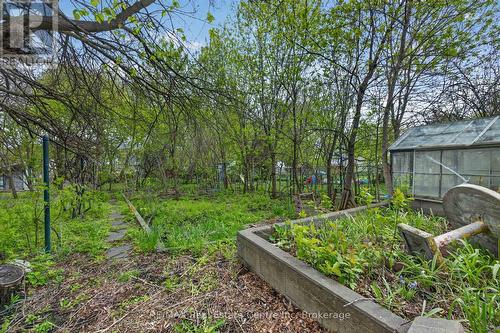 121 Elizabeth Street, Guelph (St. Patrick'S Ward), ON 