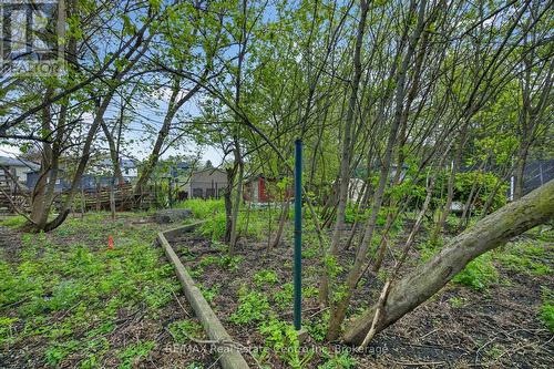 121 Elizabeth Street, Guelph (St. Patrick'S Ward), ON 