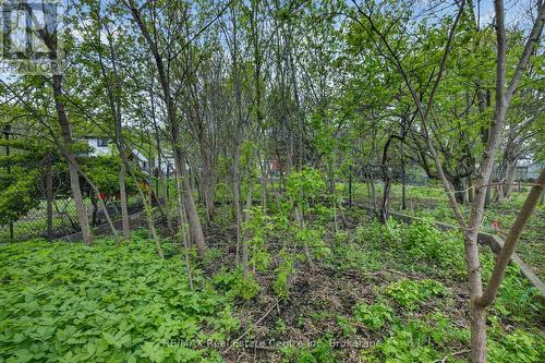 121 Elizabeth Street, Guelph (St. Patrick'S Ward), ON 