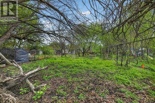 121 Elizabeth Street, Guelph (St. Patrick'S Ward), ON 
