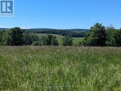 Panoramic views - 