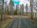 Private - 0 Centre Road W, Mckellar, ON 