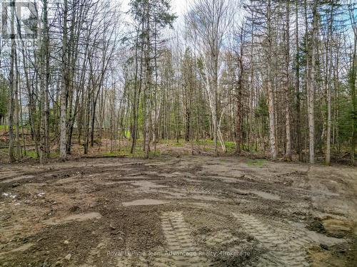 Cleared out Flat Space - 0 Centre Road W, Mckellar, ON 