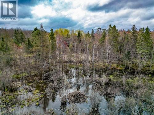 0 Centre Road W, Mckellar, ON 