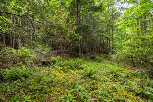 8278 Thomson Pl, Central Saanich, BC 