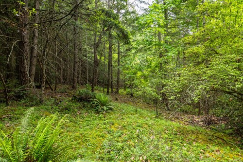 8278 Thomson Pl, Central Saanich, BC 