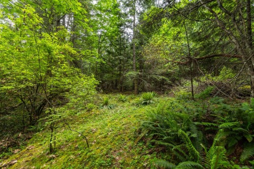 8278 Thomson Pl, Central Saanich, BC 