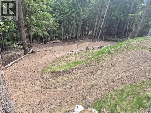 2818 Vickers Trail, Anglemont, BC 
