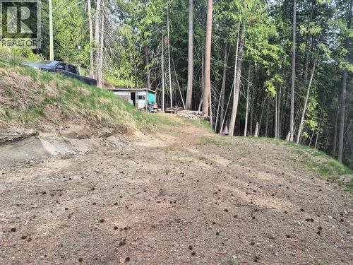 2818 Vickers Trail, Anglemont, BC 