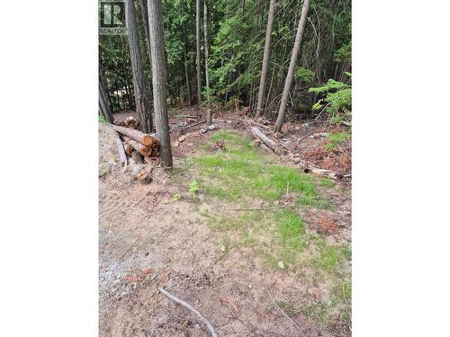 2818 Vickers Trail, Anglemont, BC 