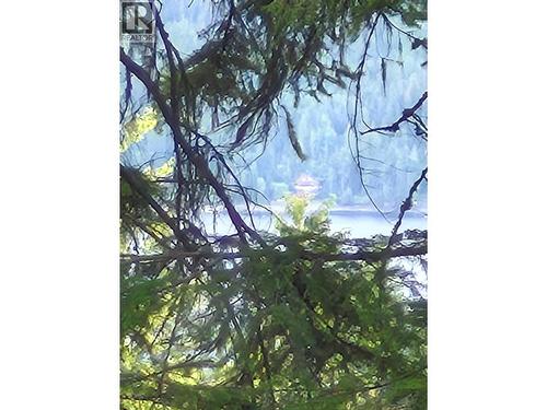 2818 Vickers Trail, Anglemont, BC 