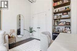 Dark wood-finish flooring with a light area rug - 