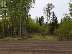 2954 SPOUT LAKE ROAD Lac La Hache, BC V0K 1T0