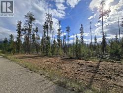 2350 BAILEY ROAD Valemount, BC V0E 2Z0