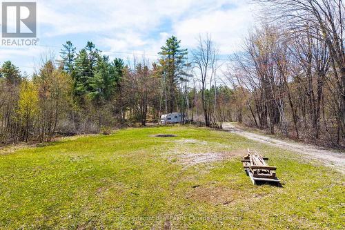 1114 Tryon Road, Gravenhurst (Morrison), ON 