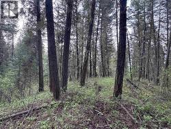 550 DOG CREEK ROAD Williams Lake, BC V2G 3P9