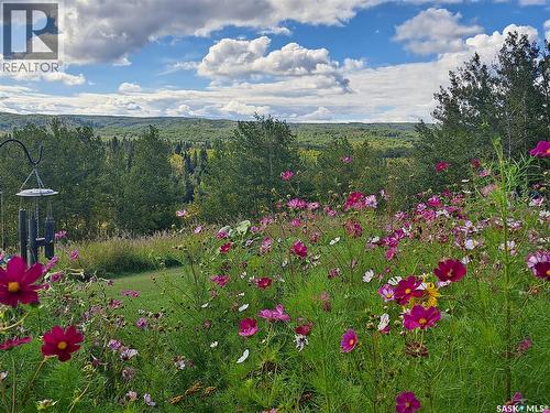D 'Amour Lot 24, Leask Rm No. 464, SK - Outdoor With View