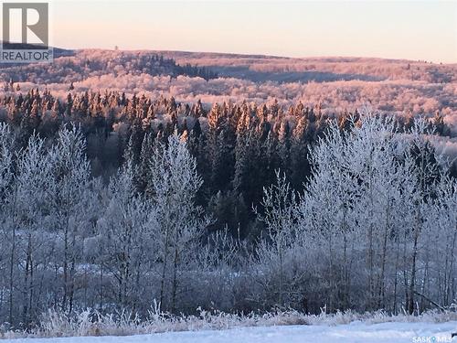 D 'Amour Lot 24, Leask Rm No. 464, SK - Outdoor With View