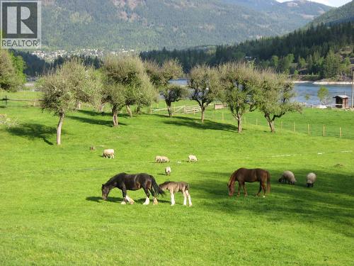 6302 Marsden Road, Nelson, BC - Outdoor With View